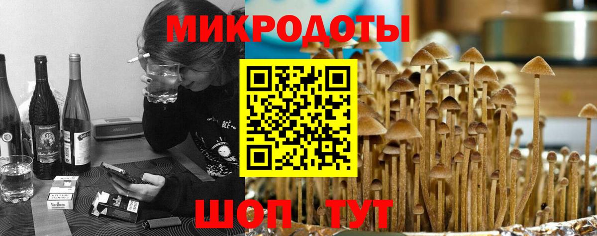 Галлюциногенные грибы Cubensis Новосибирск