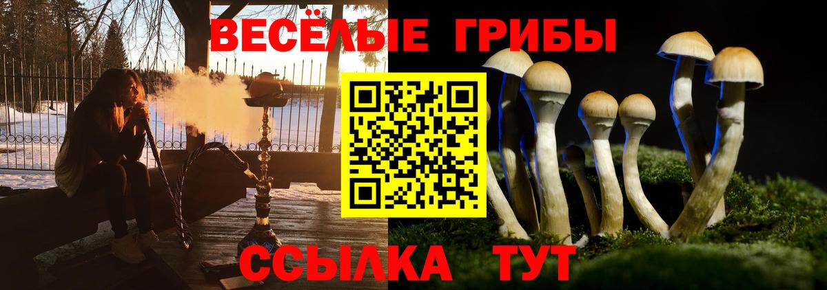 Псилоцибиновые грибы мицелий  купить наркотики цена  Новосибирск  Вход с VPN 